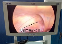 图片3.jpg