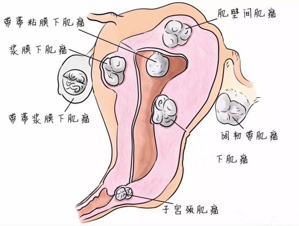 微信图片_20200806171602.jpg