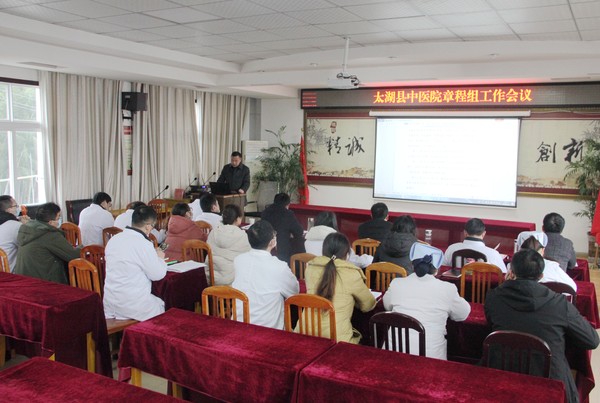 县中医院召开医院章程起草组工作会议.JPG