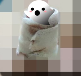微信图片_20210707160608.png