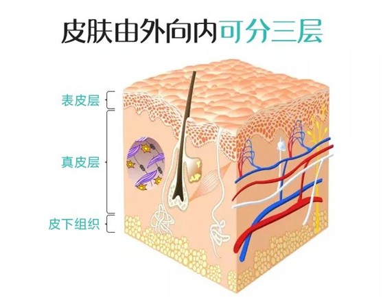 ed4c9d87bc015762dec86a89a251bfd7.png