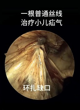 微信图片_20250708112937.jpg