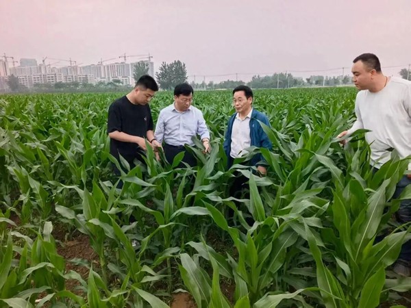 微信图片_2026-05-27_112150_674.jpg