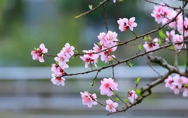 src=http___nimg.ws.126.net__url=http%3A%2F%2Fdingyue.ws.126.net%2F2021%2F0324%2Fc32ed5cfj00qqh3jw000yc000hs00b4g.jpg&thumbnail=650x2147483647&quality=80&type=jpg&refer=http___nimg.ws.126.webp.jpg
