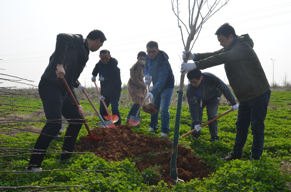 队团委组织开展义务植树活动
