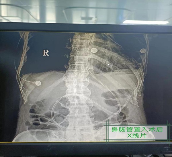 图片 28.png