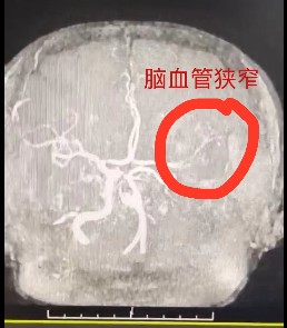 图片 4.png