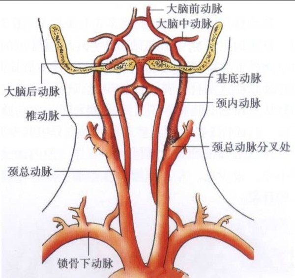 图片 2.png