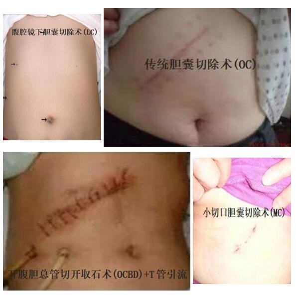 QQ截图20230331173131.jpg