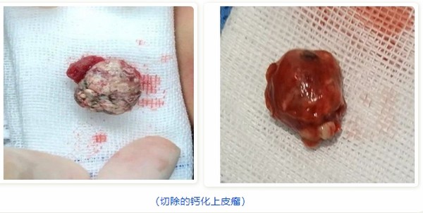 微信截图_20240205132607.png