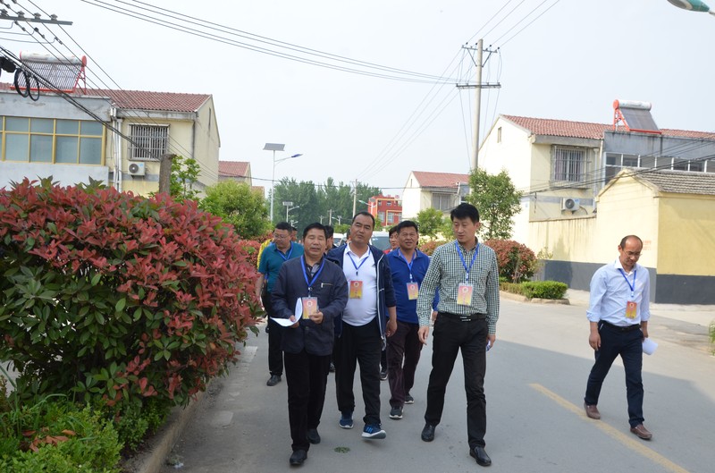 段园镇组织人大代表视察人居环境整治工作