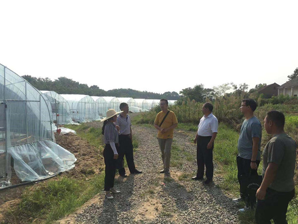 农技专家助力大义社区产业发展01