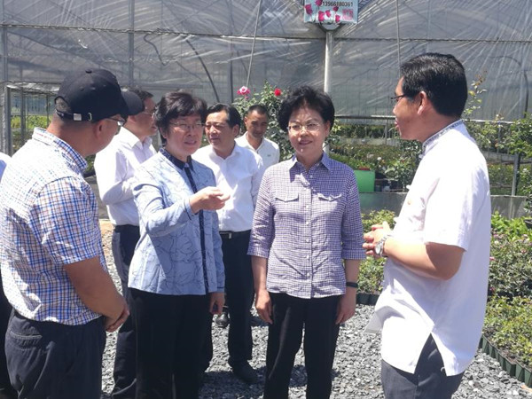 刘慧率队到宣城调研民族工作情况刘莉陶方启等参加调研03