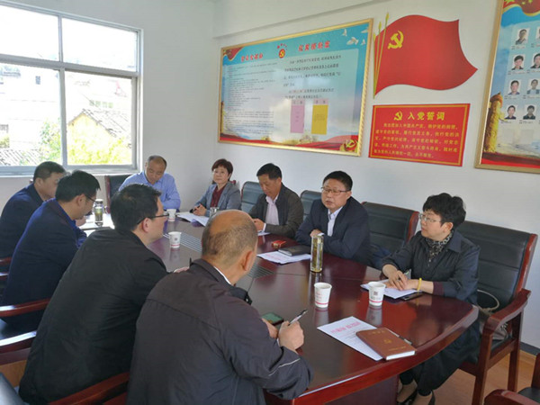 严安、朱建荣赴旌德白地村指导乡村振兴同心实践基地建设