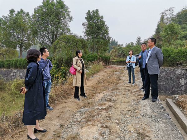 九三学社宣城基层委一行在江村查看水利道路基础设施建设