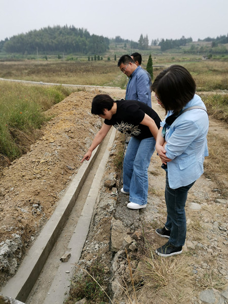 九三学社宣城基层委一行在江村查看水利基础设施建设