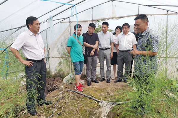 宣城市民主党派调研特色小镇建设02