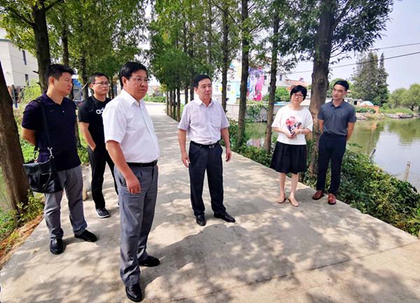 宣城市民主党派调研特色小镇建设01