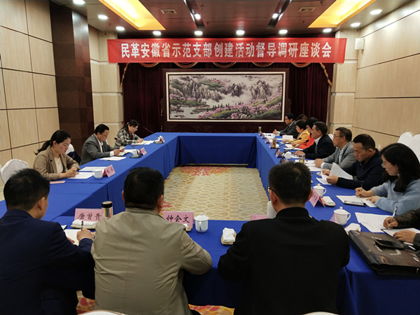 民革安徽省委会赴宣城督导调研示范支部创01