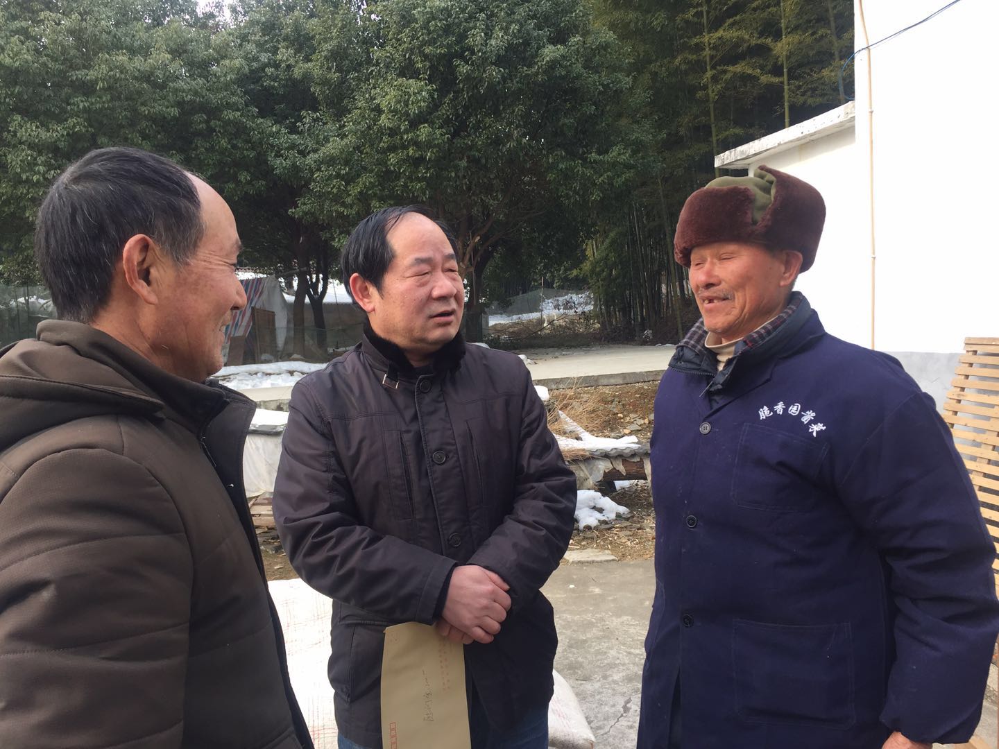 180211918238478550295