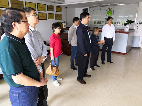 全国工商联检查组来宣州区检查“万企帮万村”精准扶贫工作02