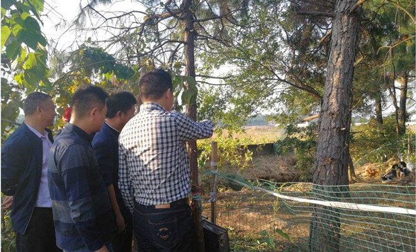 201810181539829452843