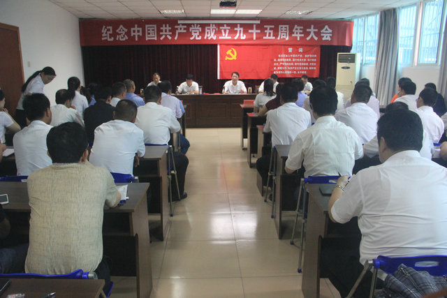 总公司召开纪念建党95周年大会