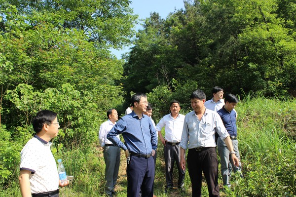 铜陵市中级人民法院