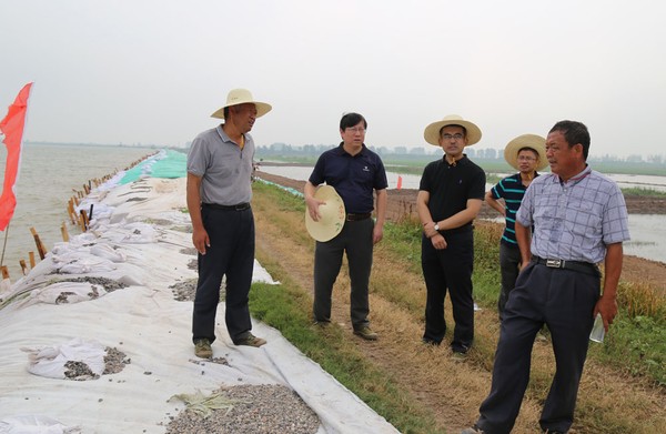 华阳河农场谢广和简历图片